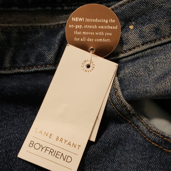 Lane Bryant Boyfriend Low Rise Jeans - Picture 10 of 16